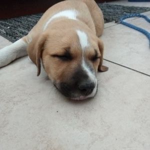 Meet your Posher, Noemy